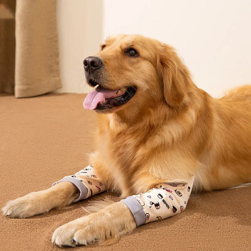 Blue dog knee protector with adjustable buckle and coordinating scarf for medium large breeds