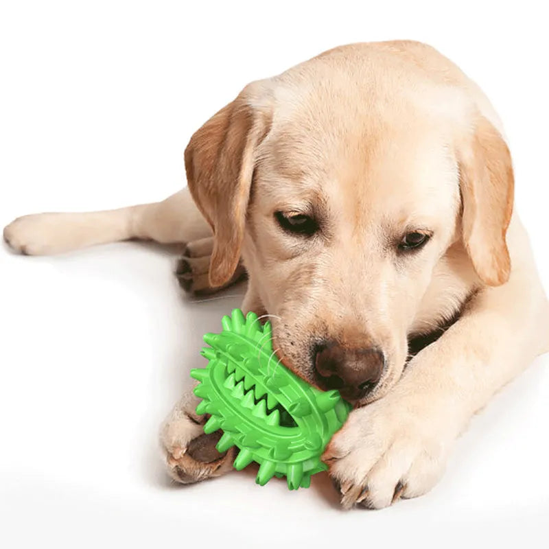 Green or yellow cactus-shaped dog toothbrush chew toy made from food-grade rubber on a white background.
