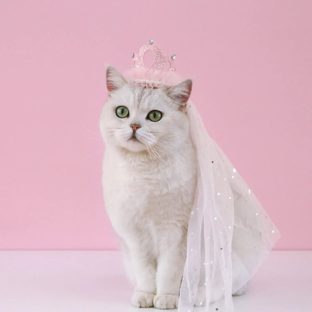 Princess crown headdress for a cat with a beige veil, pet costume accessory
