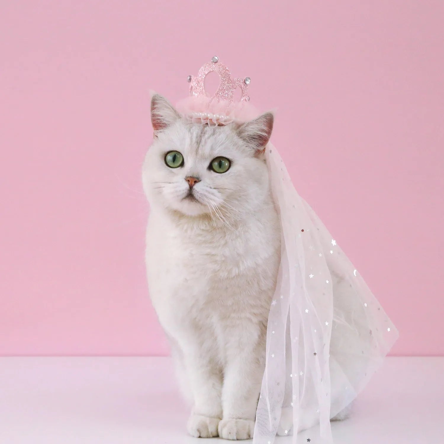 Princess crown headdress for a cat with a beige veil, pet costume accessory