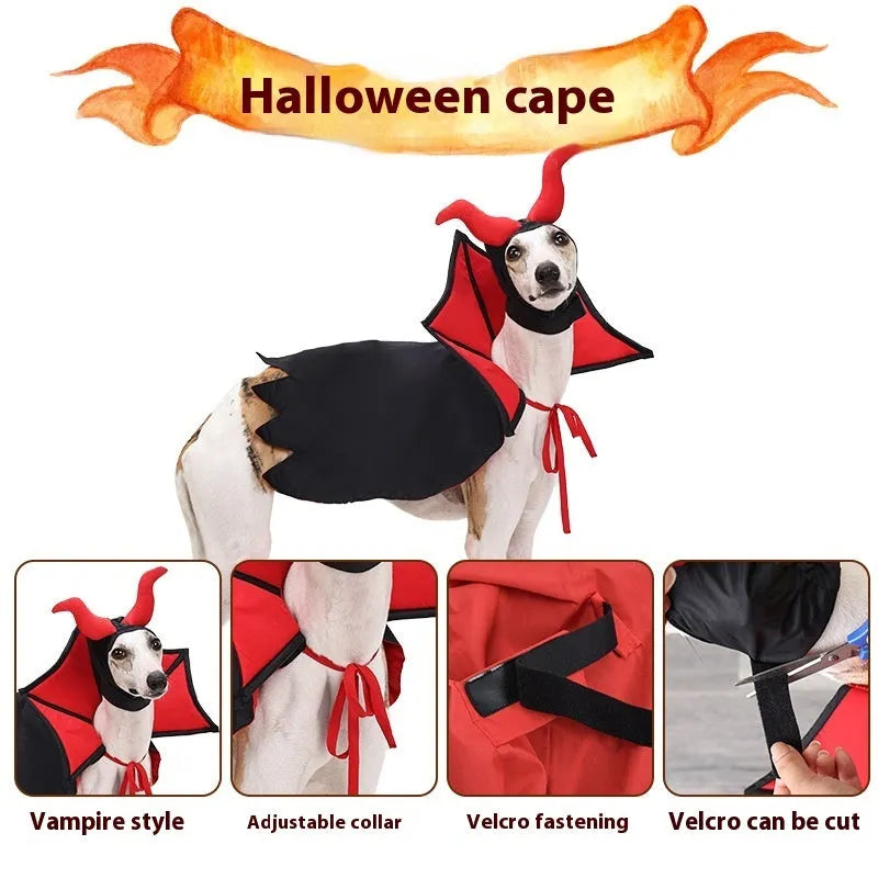 Black polyester vampire cloak and hat costume set for pets on Halloween