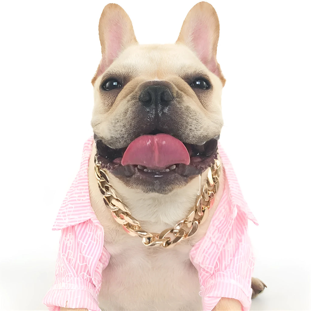 Gold chain dog collar necklace with a geometric buckle on a small dog
