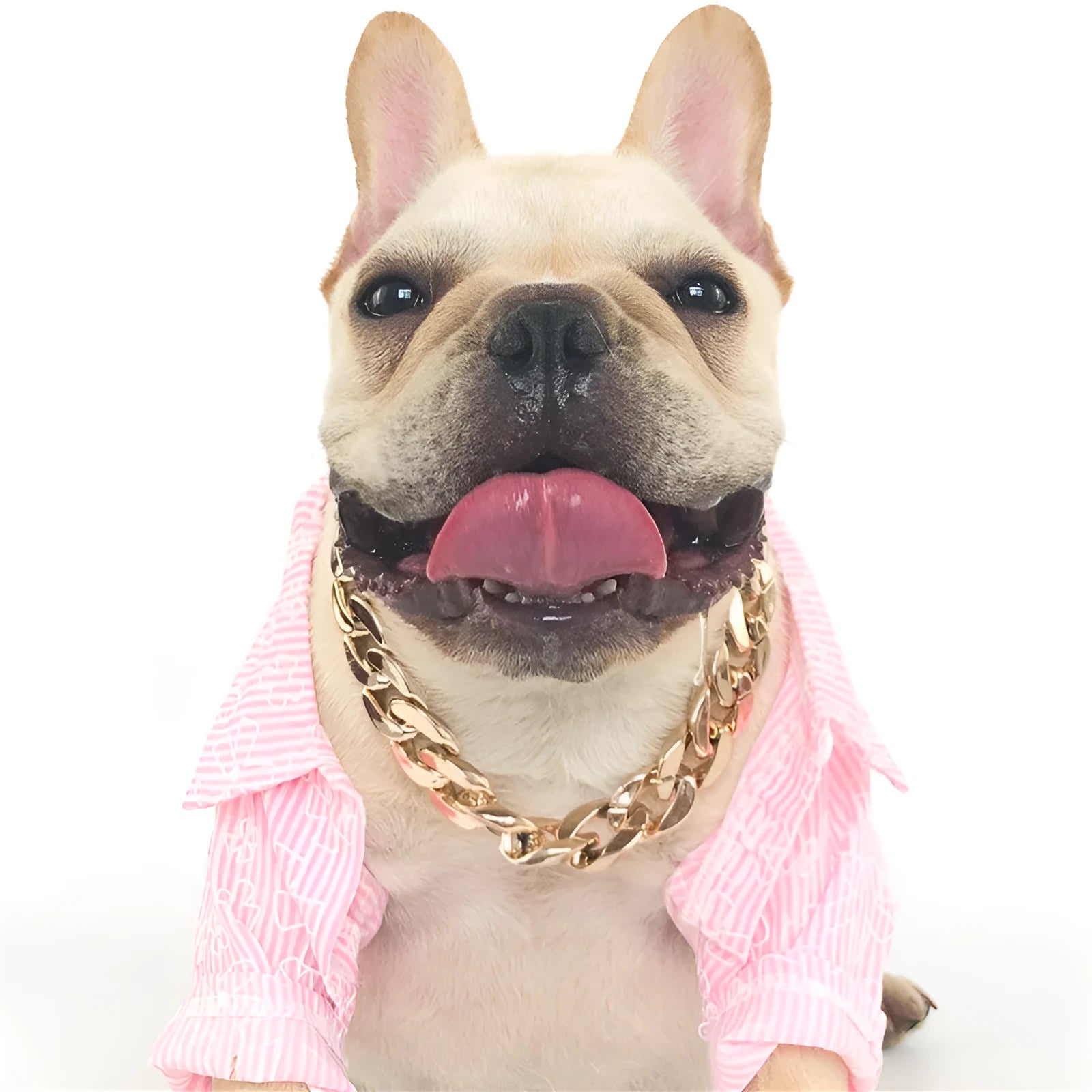 Gold chain dog collar necklace with a geometric buckle on a small dog