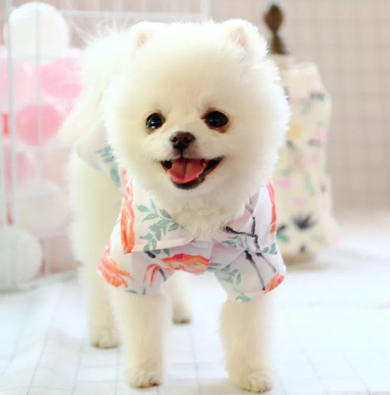 Small dog summer casual shirt with dragonfly print, cotton fabric, size M for thin breeds