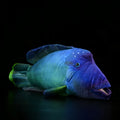 Green realistic printed sunfish plush toy with wavy lips, 55cm length, soft plush material