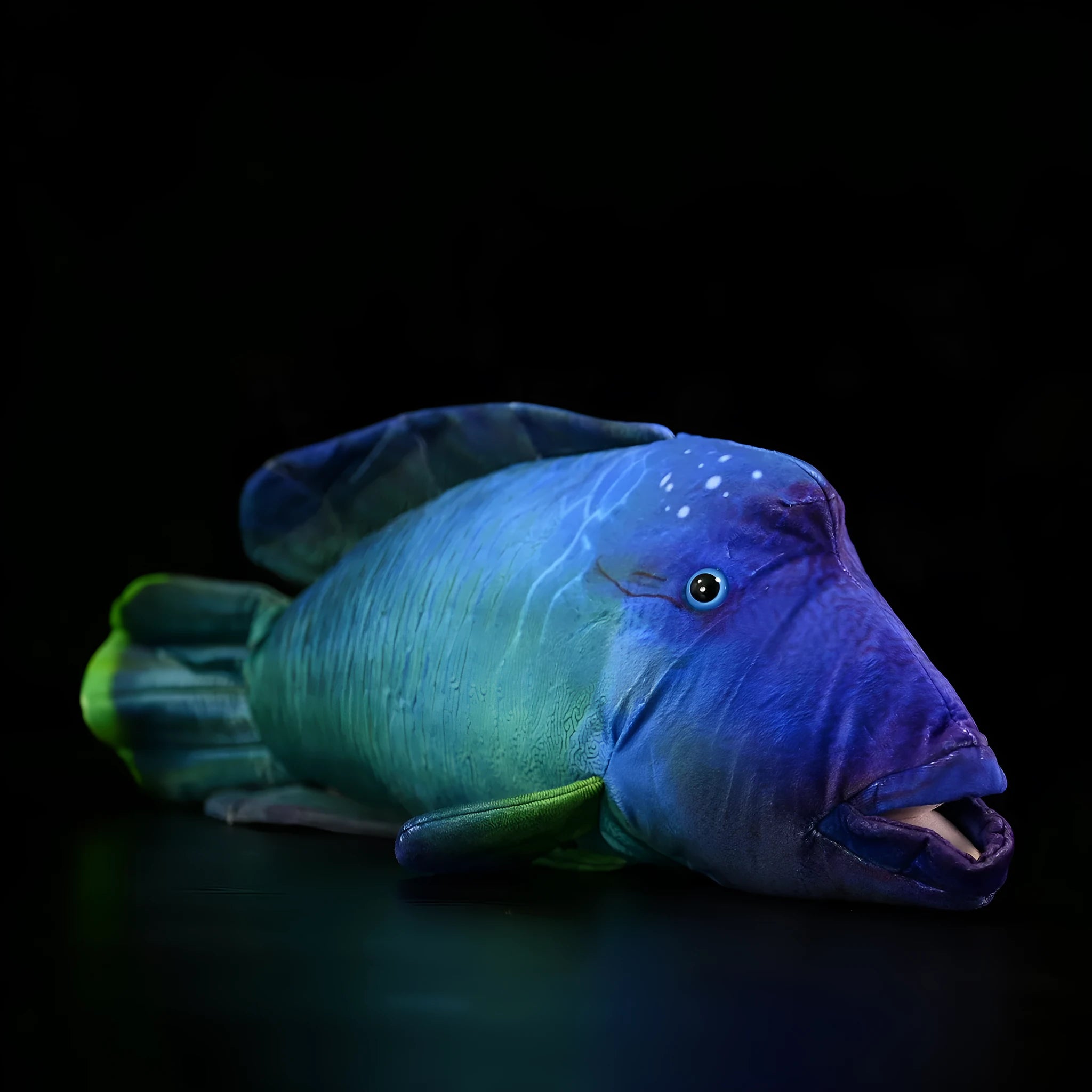 Green realistic printed sunfish plush toy with wavy lips, 55cm length, soft plush material