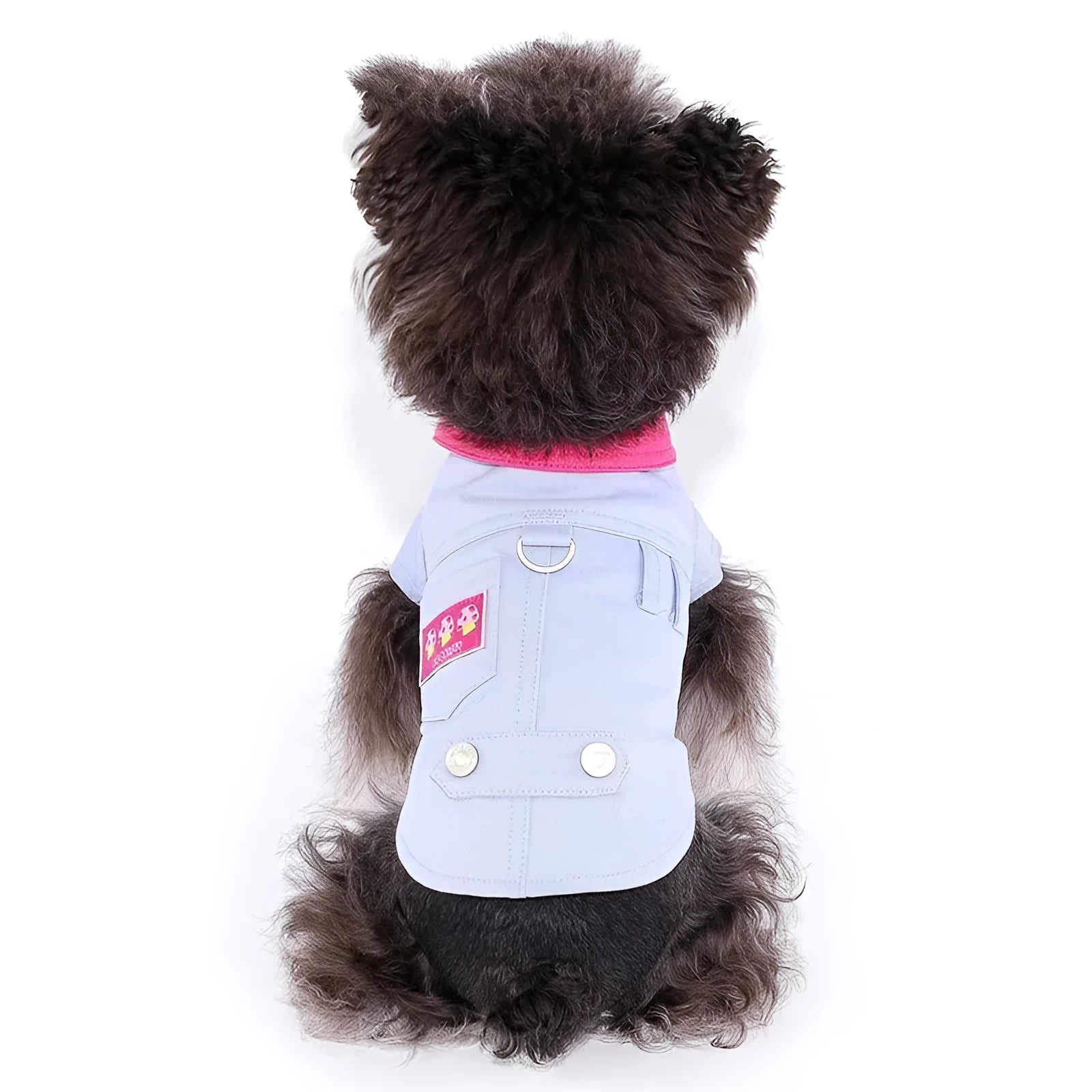 Blue and purple polyester dog vest with integrated traction ring for small breeds