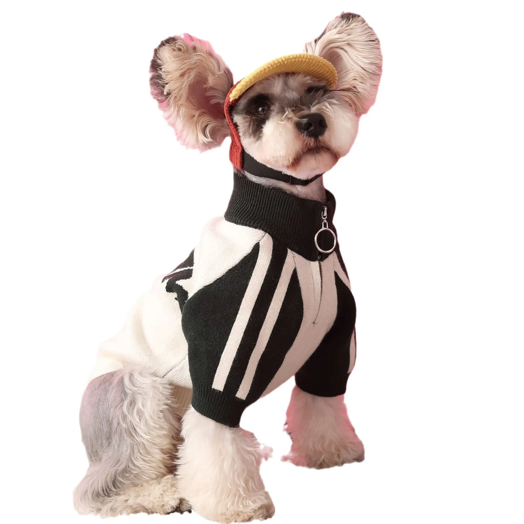 Red wool puppy dog sports sweater cardigan pet clothing on a dog