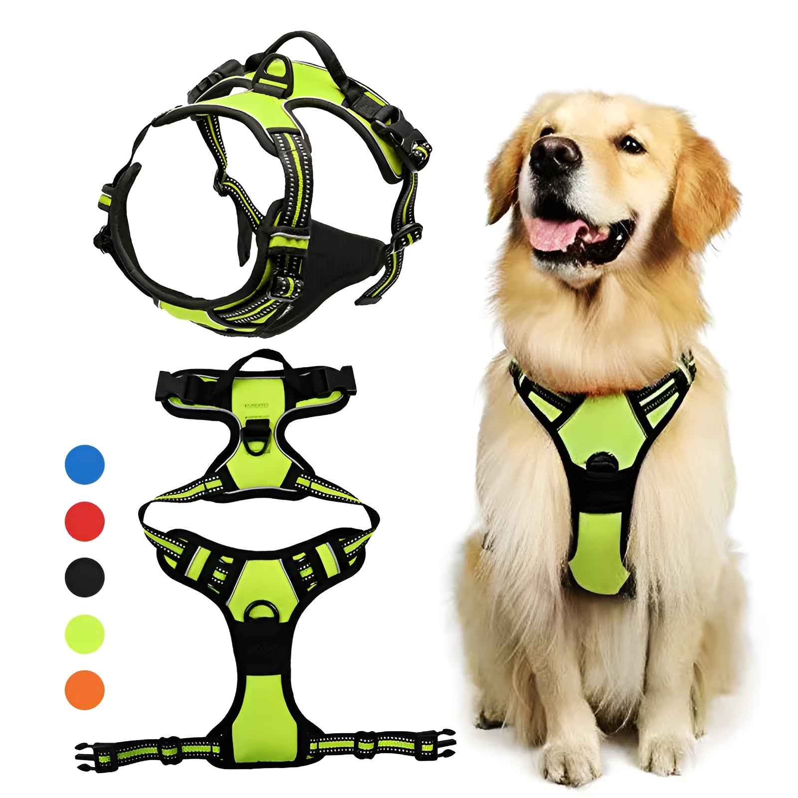 Nylon dog chest and back rope in multiple colours with hand holding loop for walking training