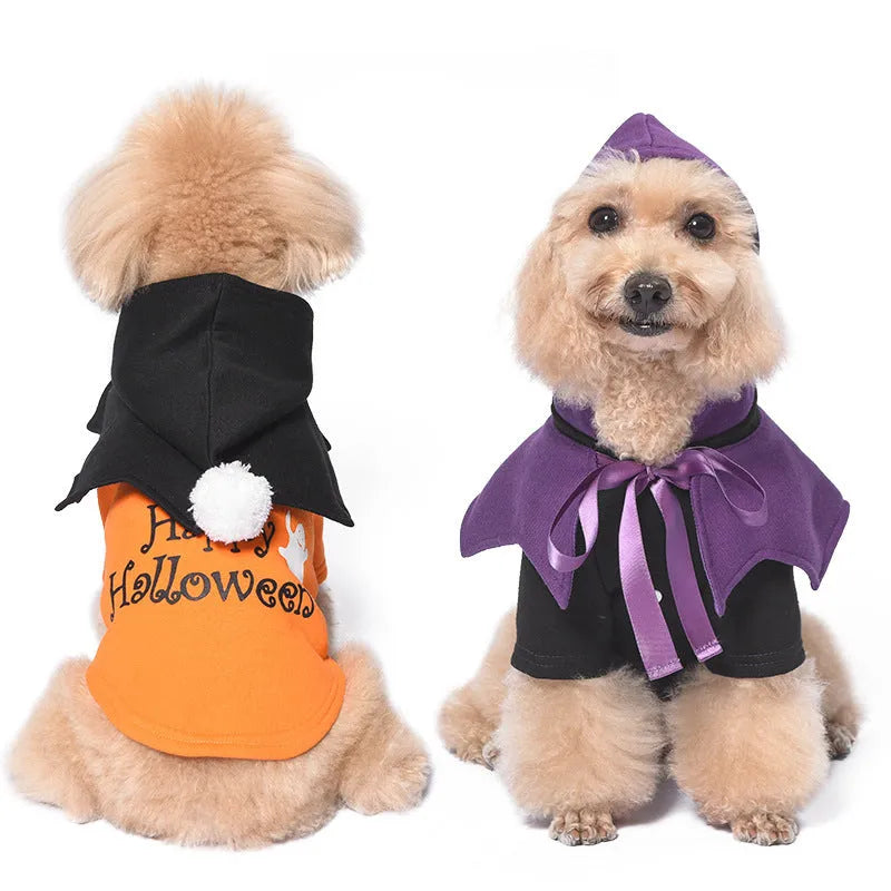 Orange and black two-piece Halloween dog costume with sweater and shawl showing pumpkin theme