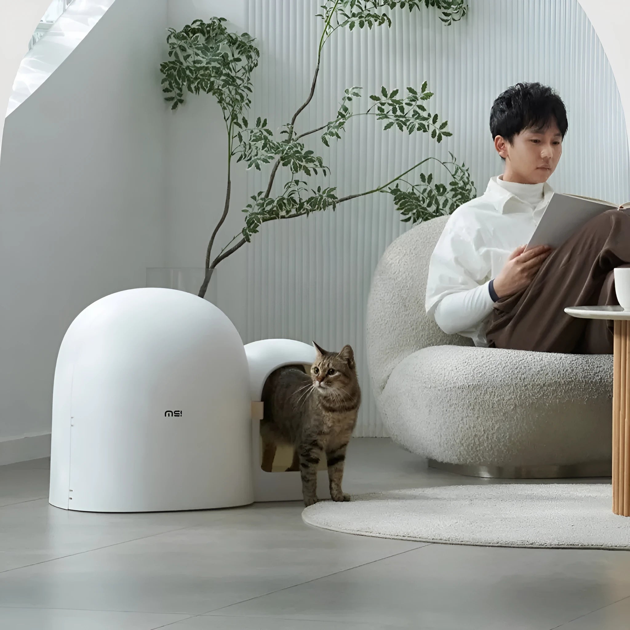 Fully enclosed oversized cat litter box in ABS plastic with dimensions 67.7cm x 49cm x 50cm