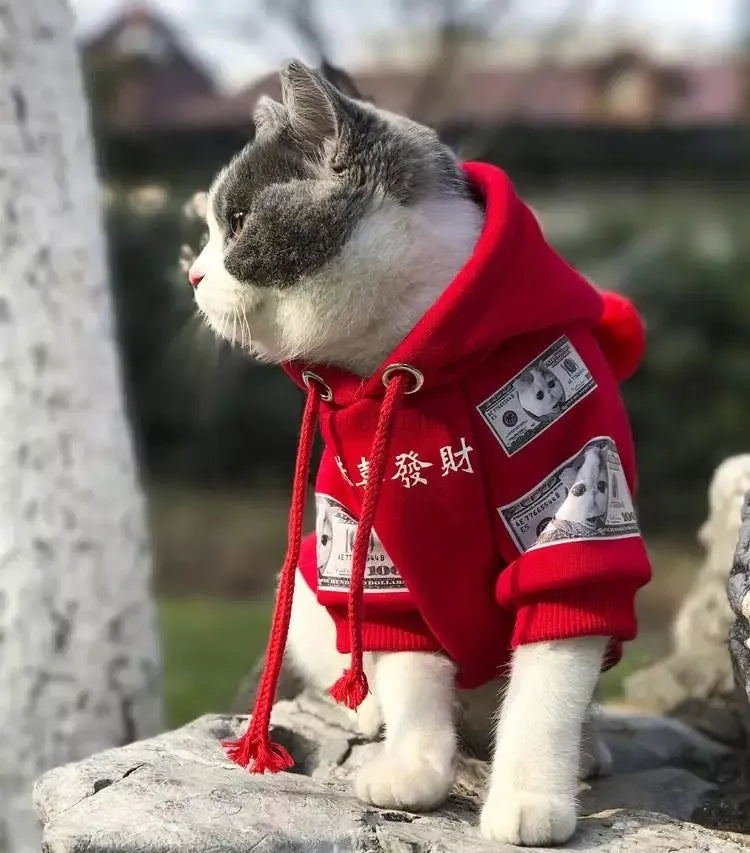 Red pure cotton fleece pet sweater for cats and dogs on a white background