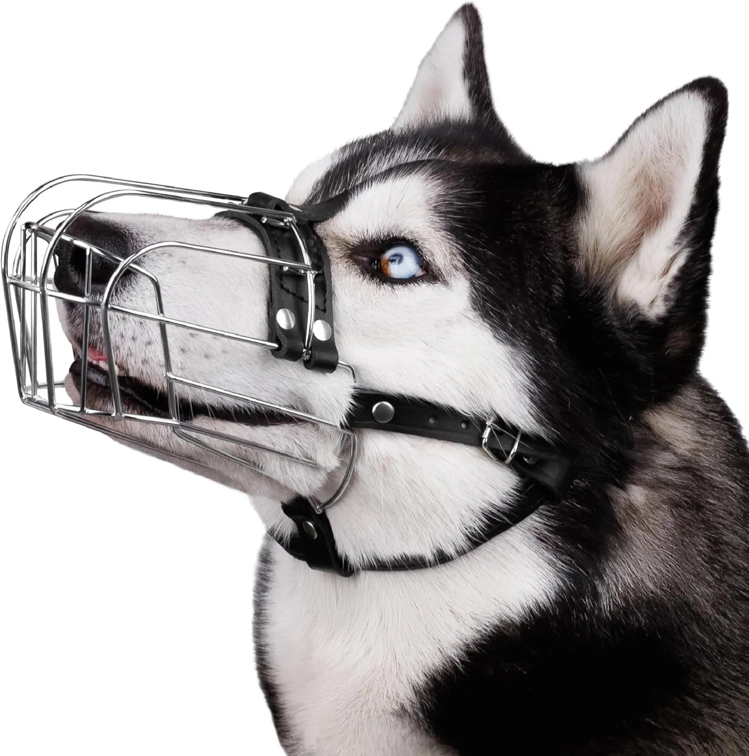 Black metal dog muzzle for Golden Retriever and German Shepherd breeds
