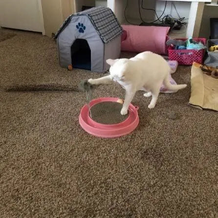 Blue cat scratching post with replaceable cardboard pad, ball track, and mouse swatter accessory