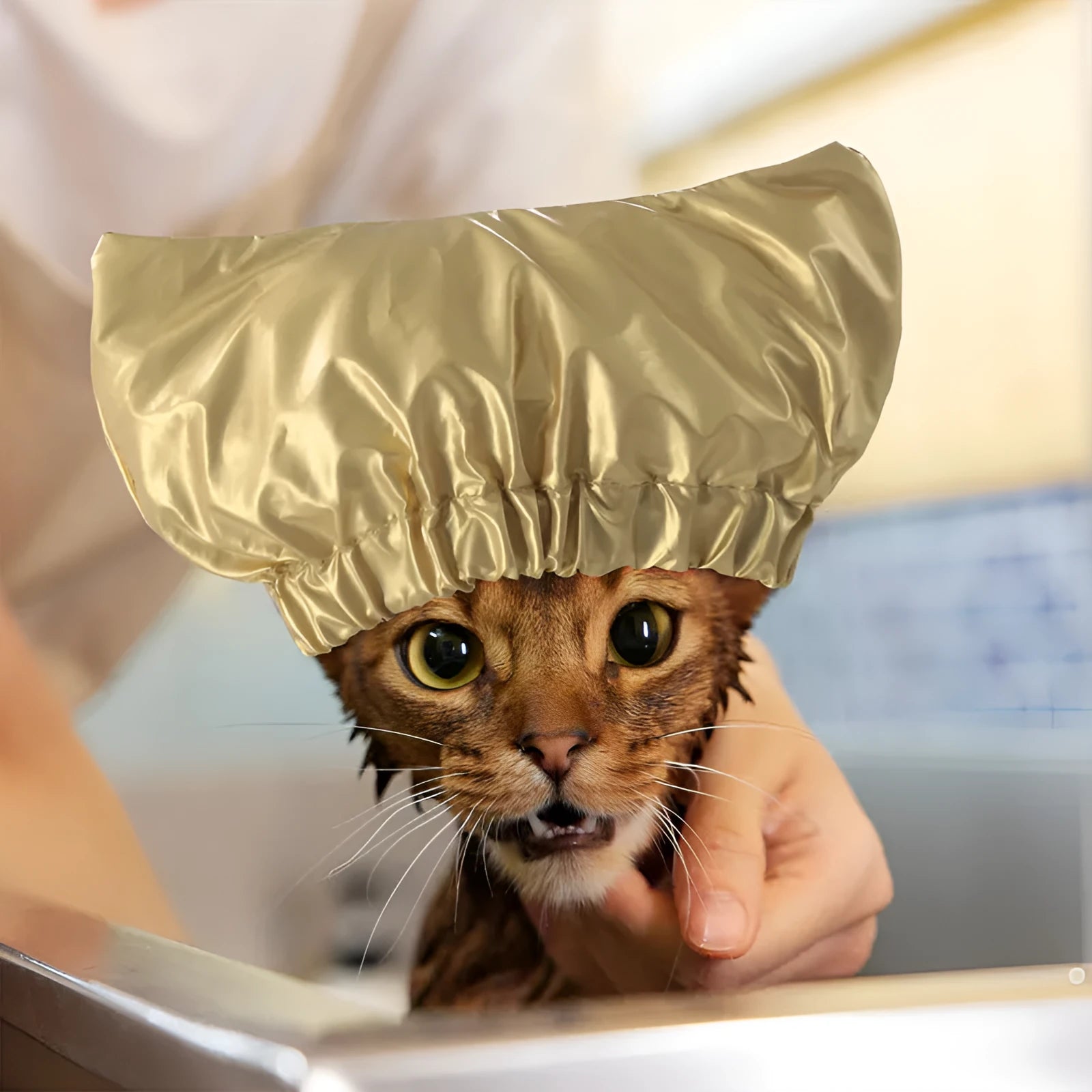 Silver pink or gold adjustable non-woven fabric shower cap for cats and dogs with ear protection design
