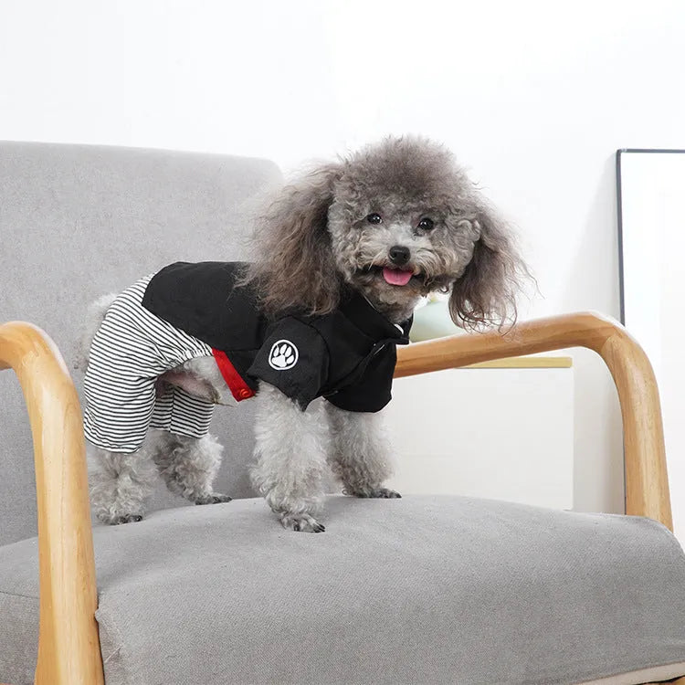 Small dog wearing blue cotton dog clothes, available in trousers or skirt style for spring and summer.