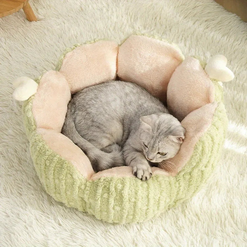 Green or purple soft cactus-themed cat litter kennel pet bed in large or small size.