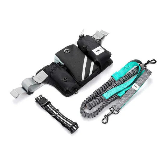 Black nylon waterproof pet training waist bag with dog leash and collar set for outdoor walking