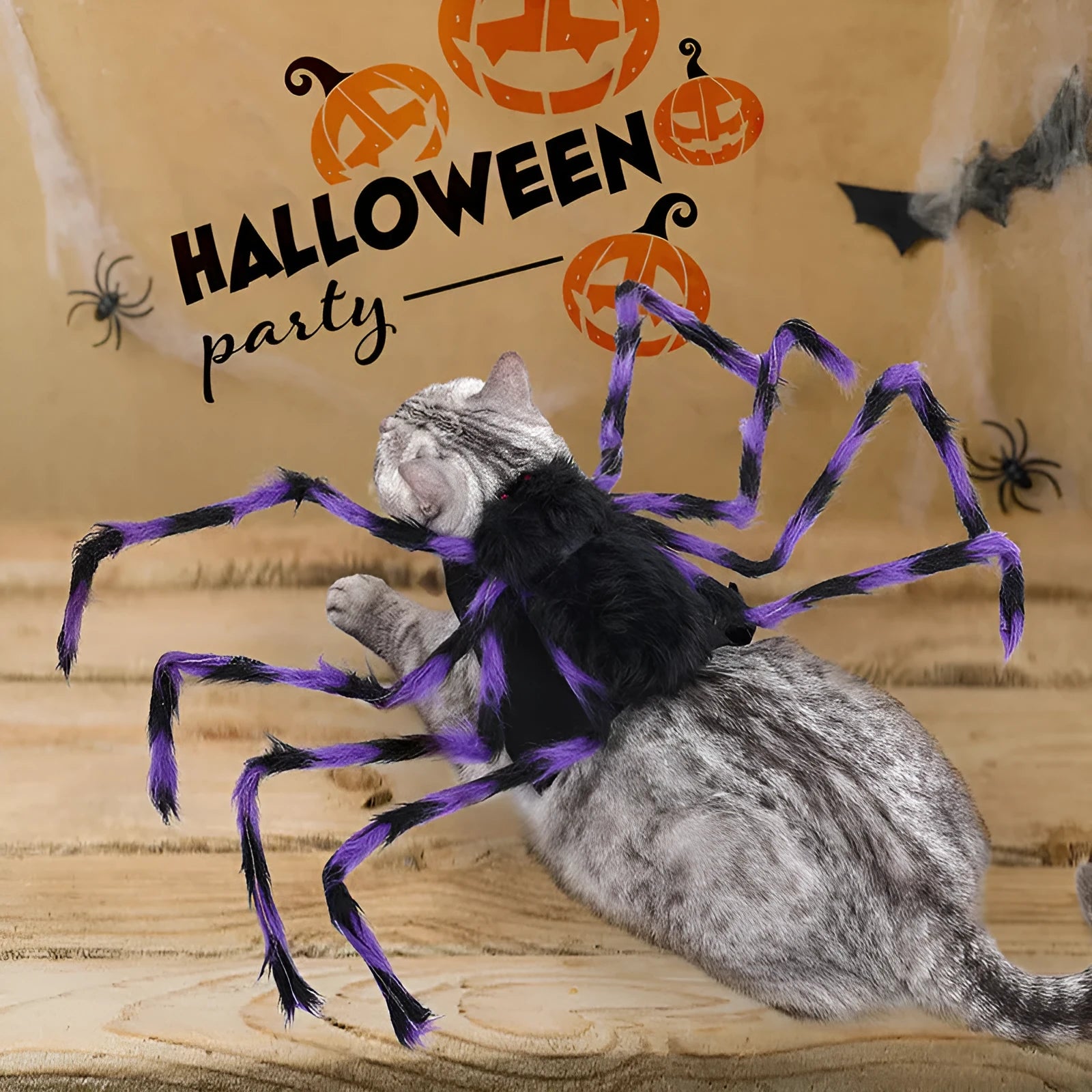 Grey spider costume on a dog for Halloween, showing full-body coverage.
