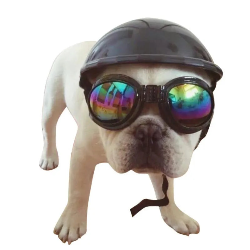 Plastic dog motorcycle helmet shown in multiple solid colours including pink, blue, and yellow, with size examples.