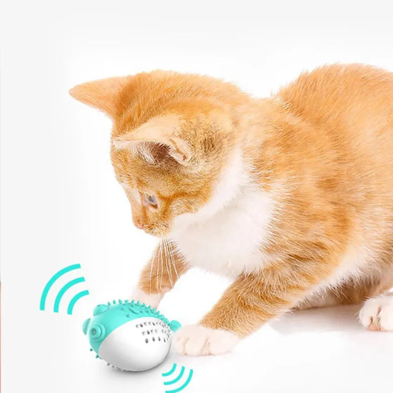 Blue silicone fish-shaped chew and grab toy for cats on a white background.
