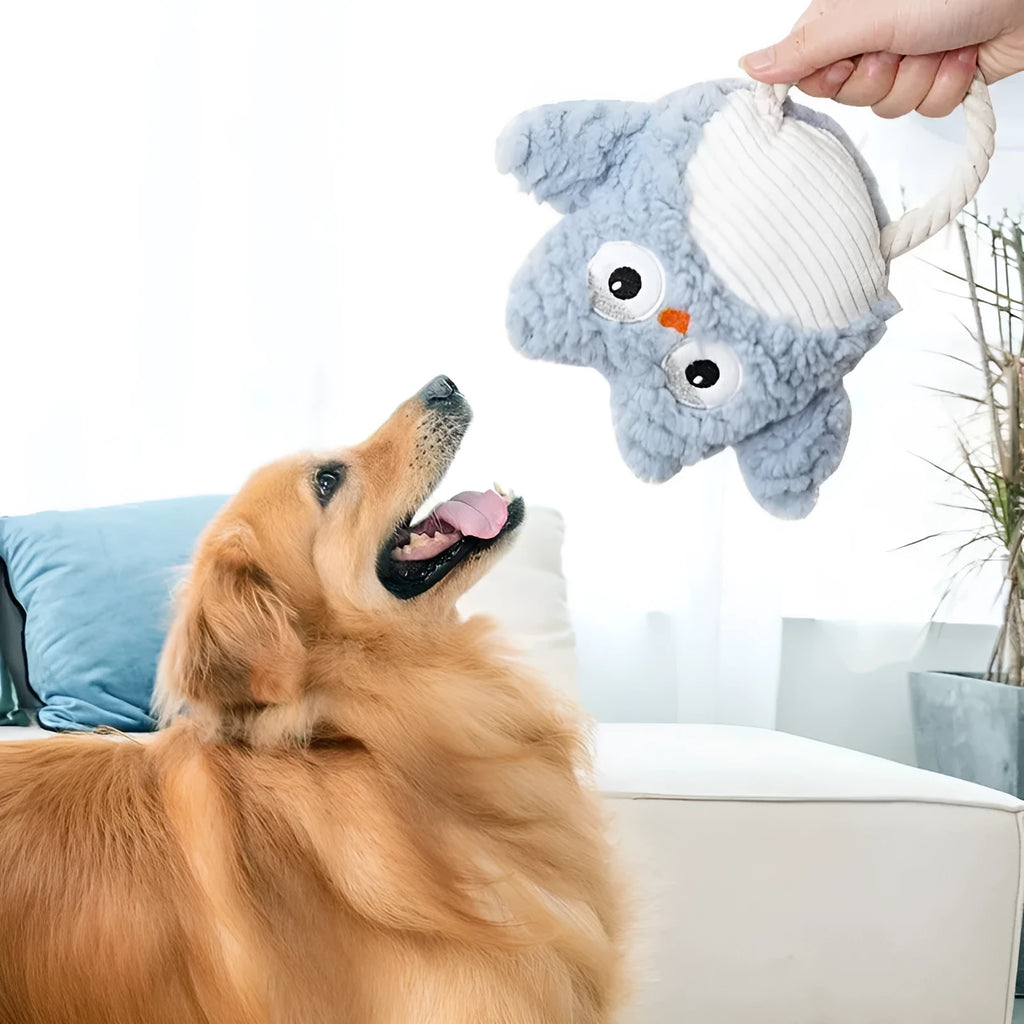 Plush caterpillar fabric dog toy in shark shape with squeaker on white background