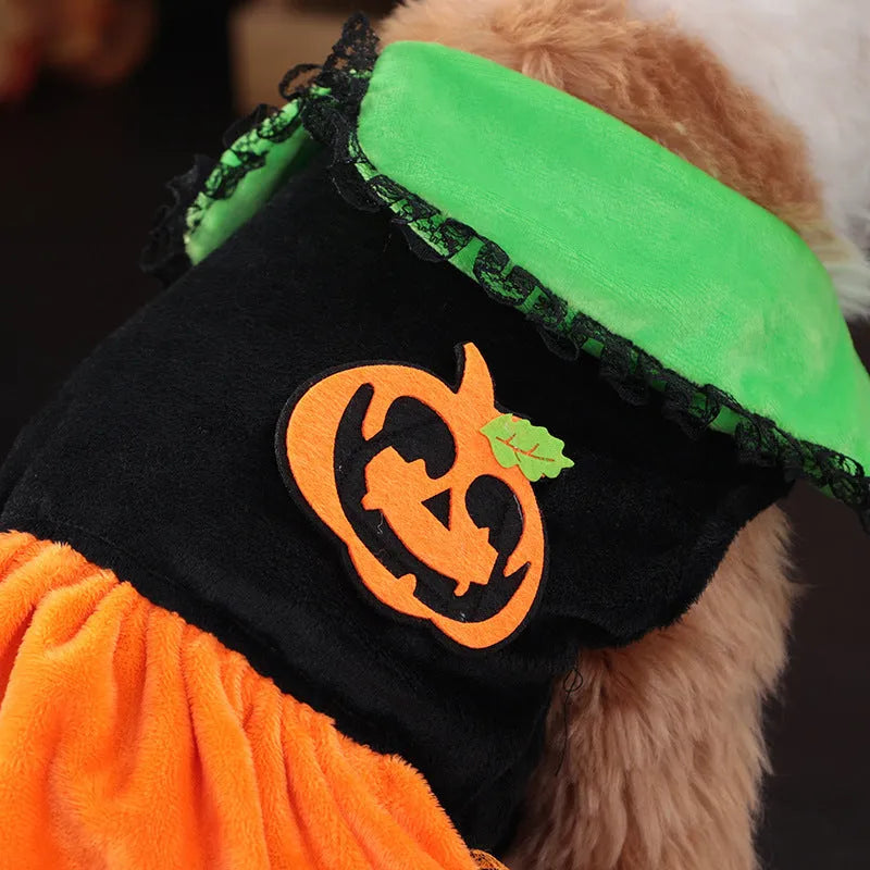 Halloween pumpkin pet costume for dogs and cats in crystal velvet material with sizing options