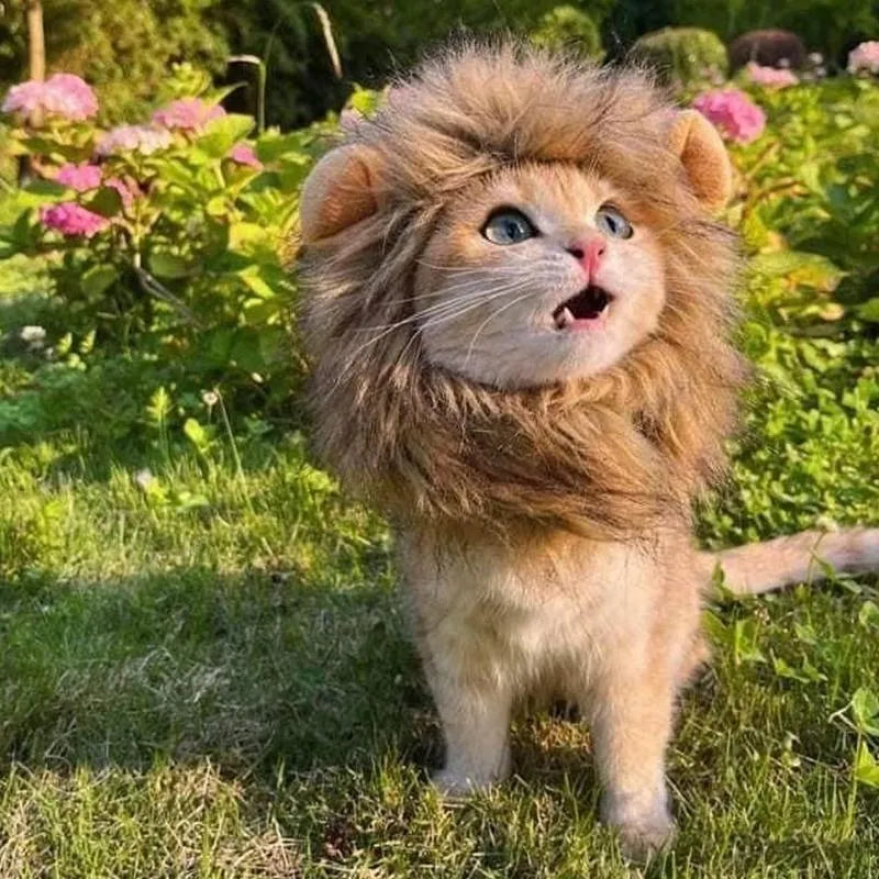 Adjustable lion mane pet wig with elastic band and plush ears for cats and small dogs