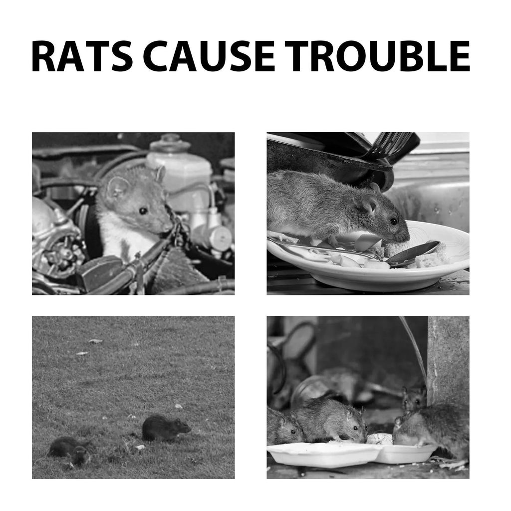 60ml bottle of natural rat repellent spray with essential oils for home, car and outdoor use.