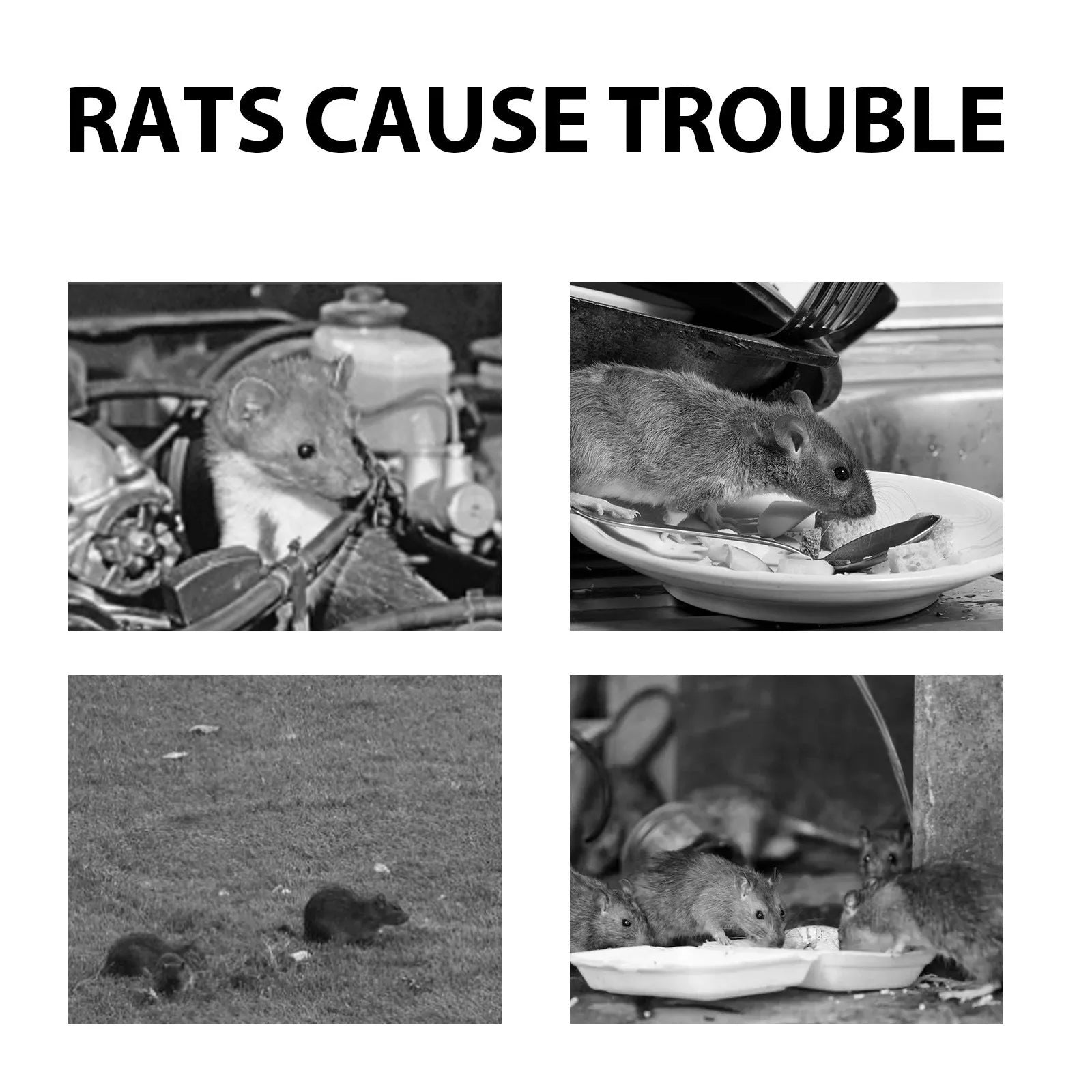 60ml bottle of natural rat repellent spray with essential oils for home, car and outdoor use.