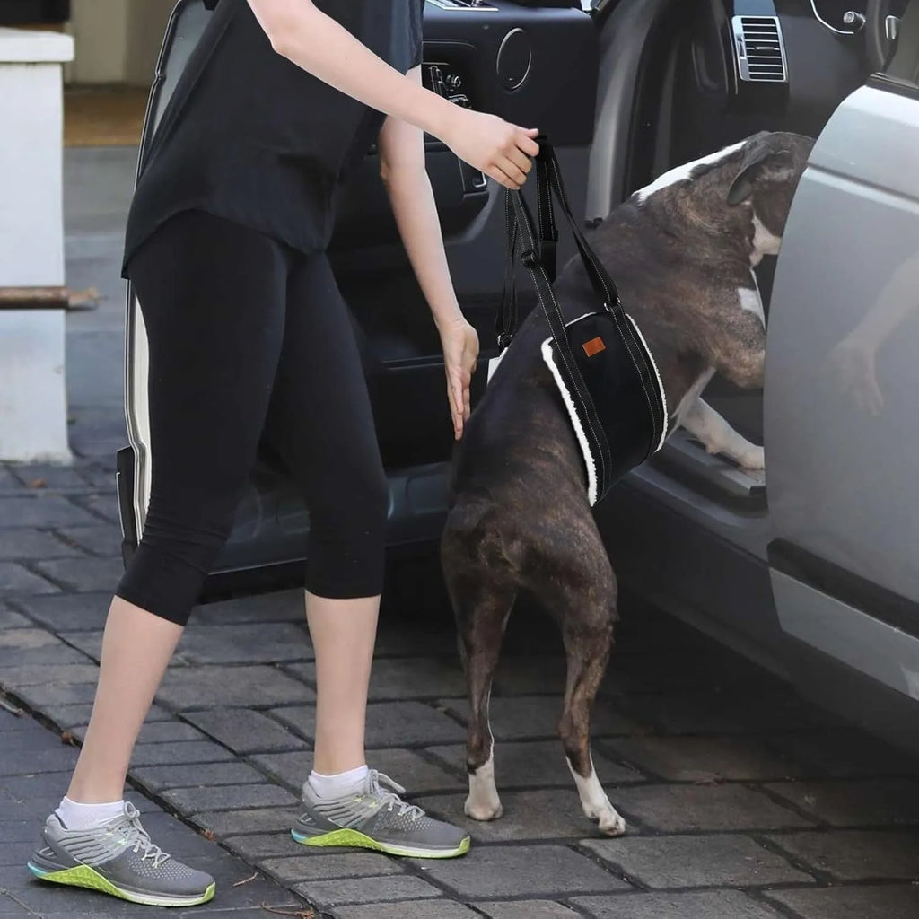 Adjustable dog sling with padded liner supporting a dog's hindquarters, showing reflective straps and a handle.