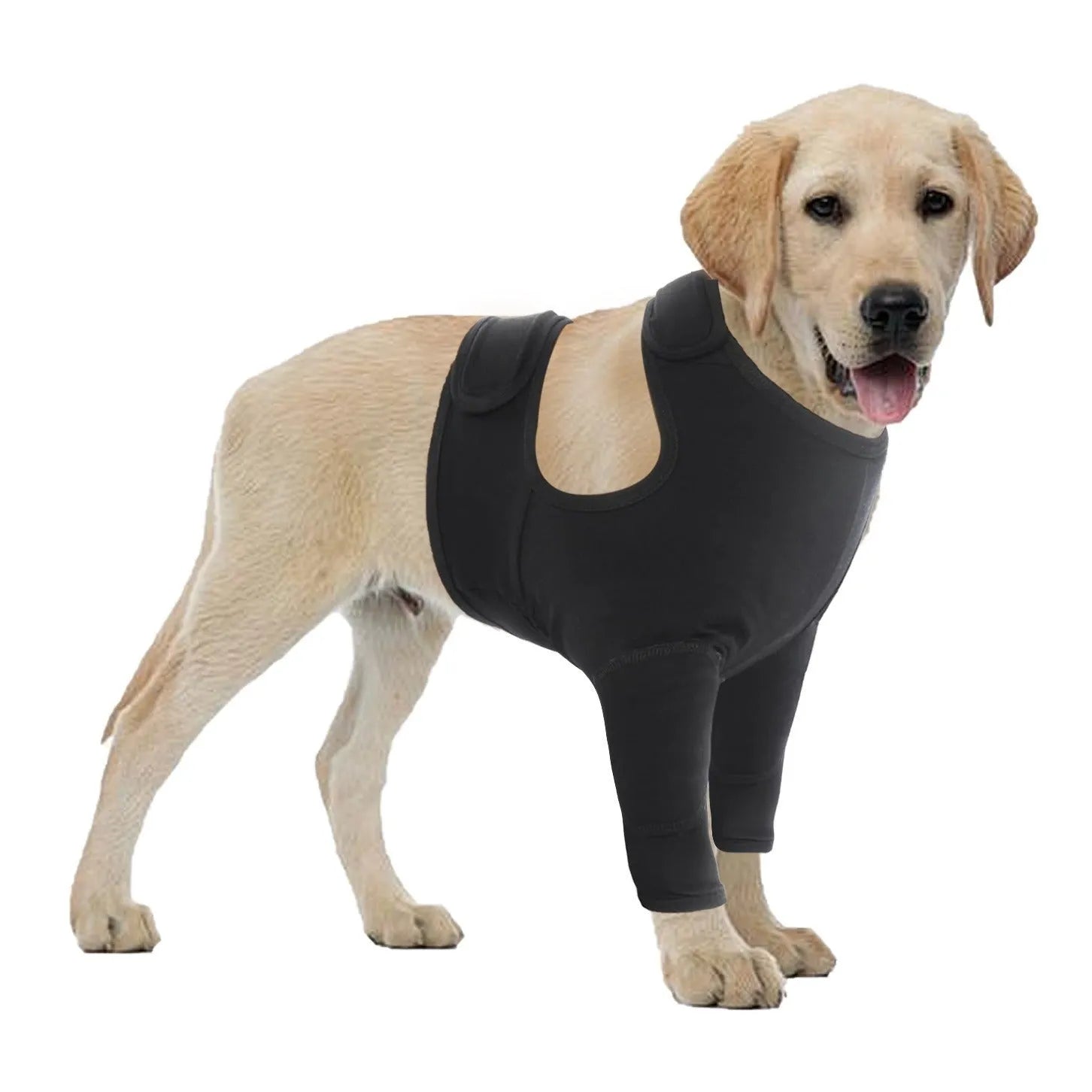 Pet protective gear double front leg cover for dogs in black polyester with six size options S to 3XL