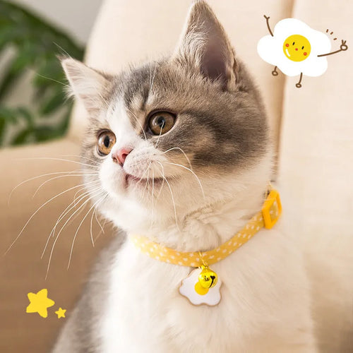Small pet collar with bell pendant and decorative bow tie in adjustable design