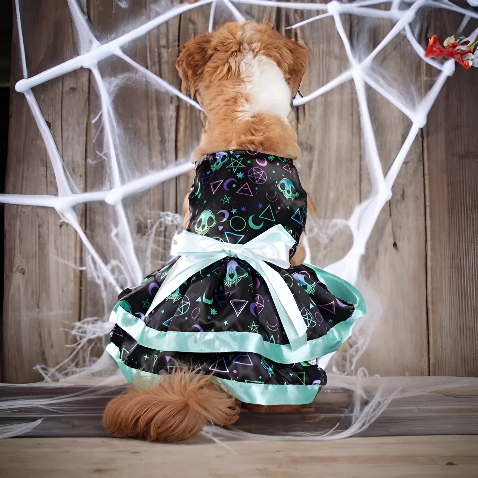 Halloween dog skirt in colourful pumpkin print with double-layer construction for pet costume