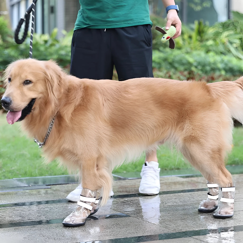 Black waterproof dog shoes with non-slip sole on a large dog outdoors
