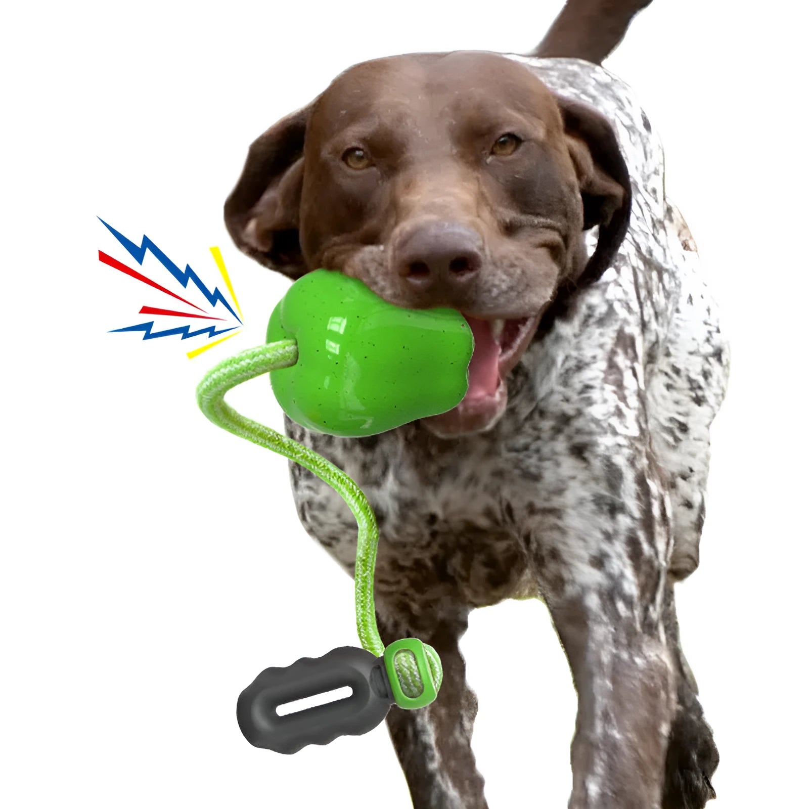 Green plastic apple-shaped dog toy with molar texture, acting as a food-dispensing ball and chew.