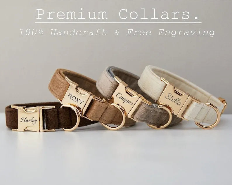 Velvet dog collar set with metal buckle and bow tie in multiple colour options sizes XS to XXL