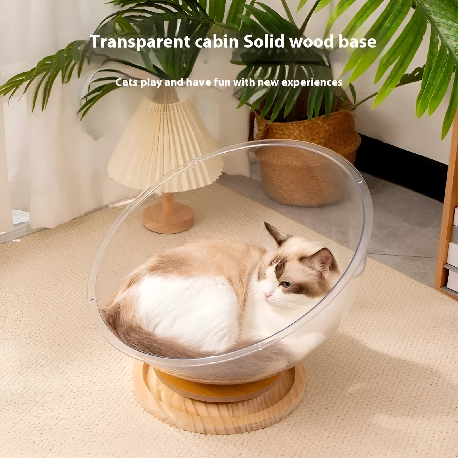 Transparent acrylic space capsule shaped cat bed on a turntable base, shown in a large size.