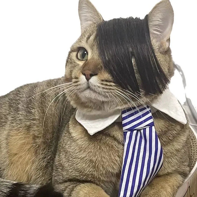 Black cat wig with imitation braid styling for fox costume dress up