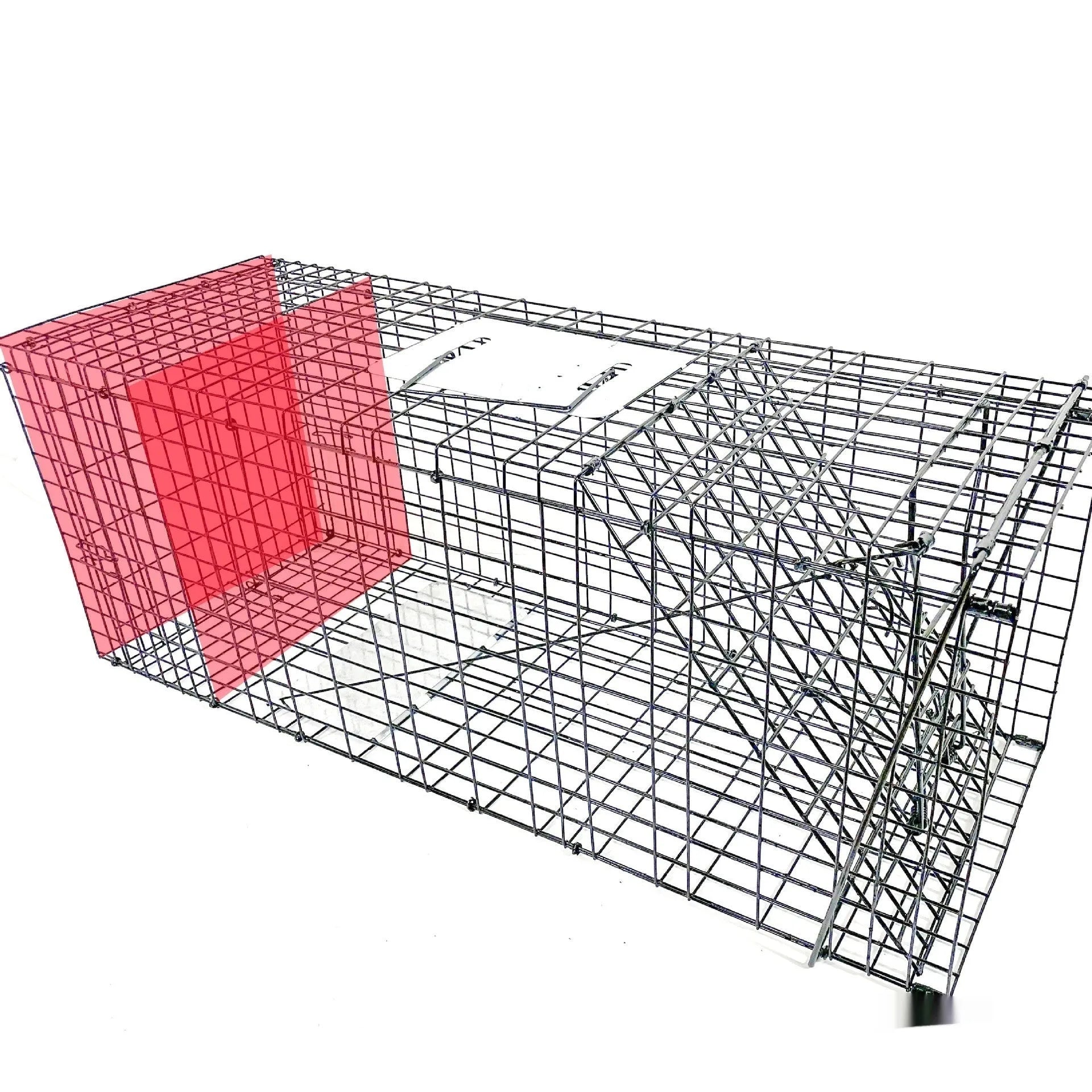Fully automatic foldable cat trap cage galvanised steel 60x20x18cm with pedal mechanism on grass