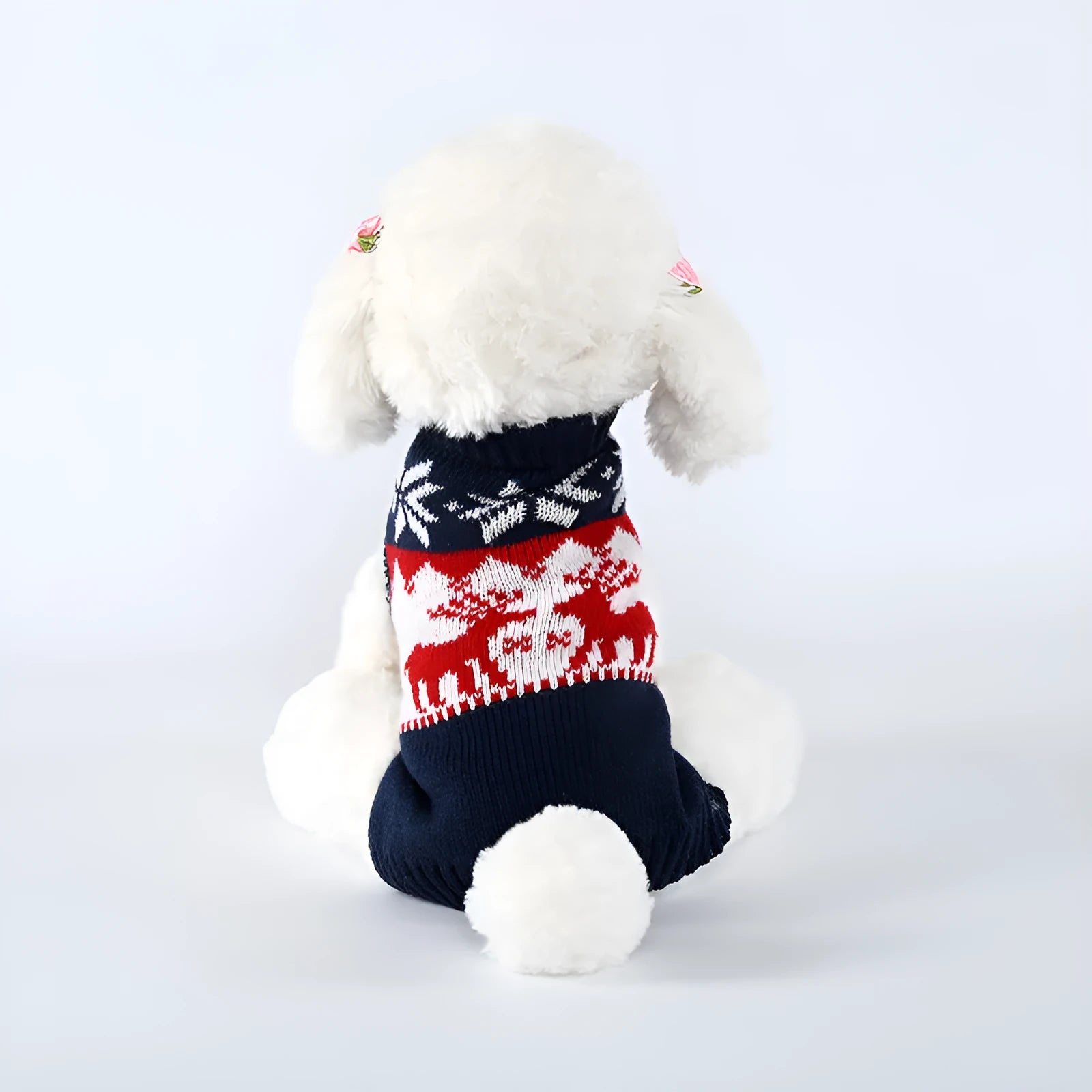 Navy blue knitted Christmas sweater for a dog on a white background.