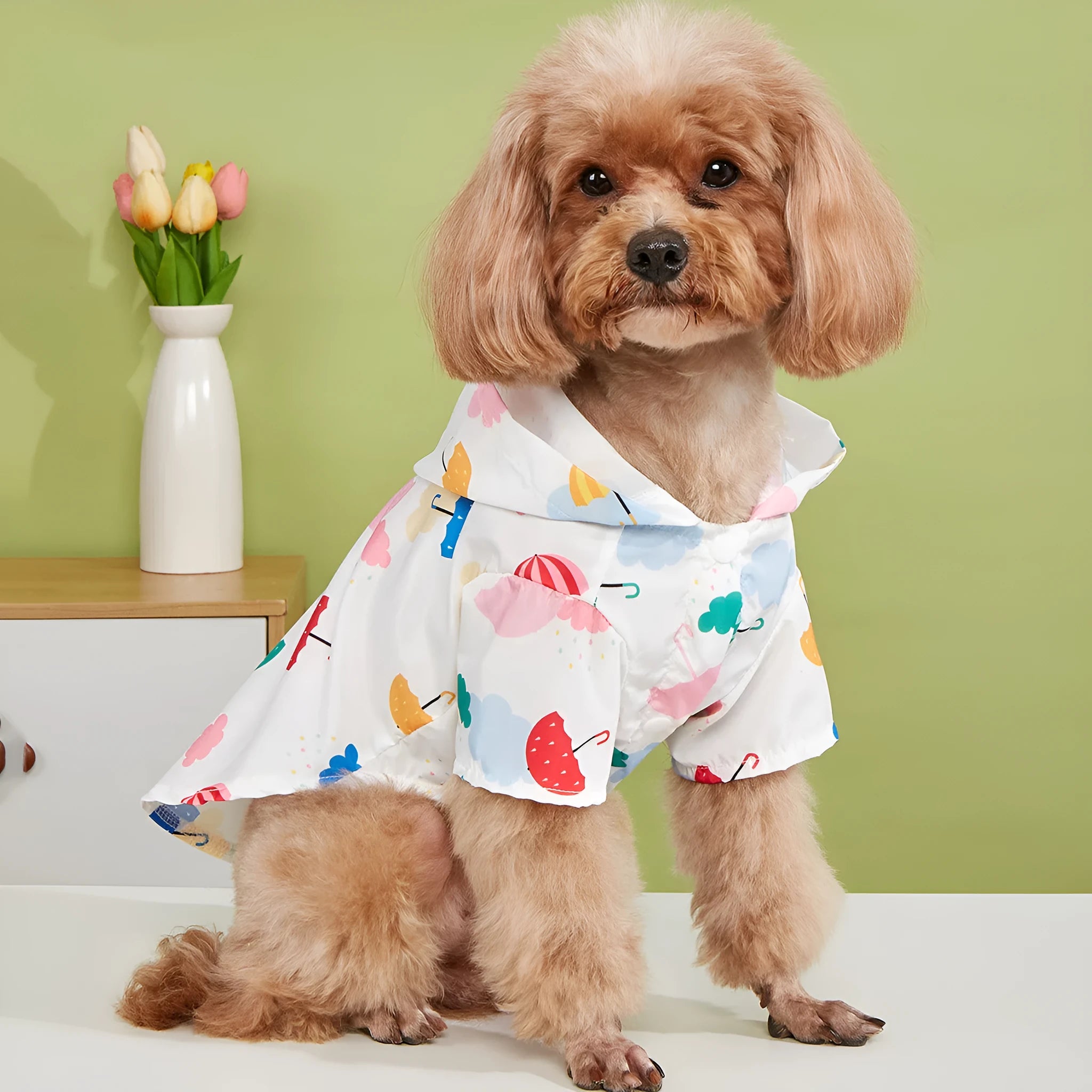Colourful cartoon umbrella pattern pet raincoat for a small dog on a grey background.