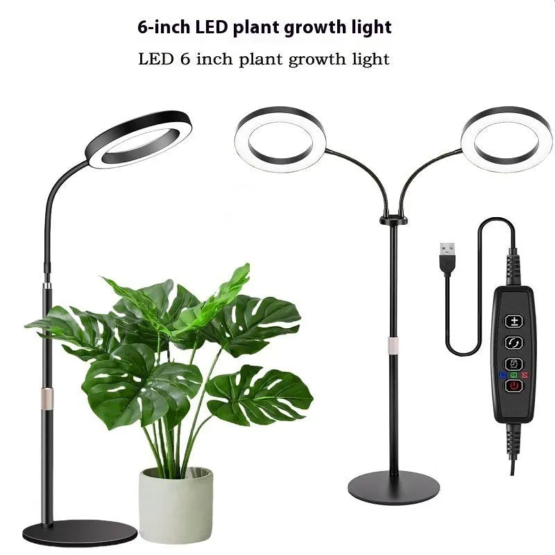 A white 6-inch angel ring LED grow light on a tall, thin adjustable floor stand, positioned next to indoor houseplants.