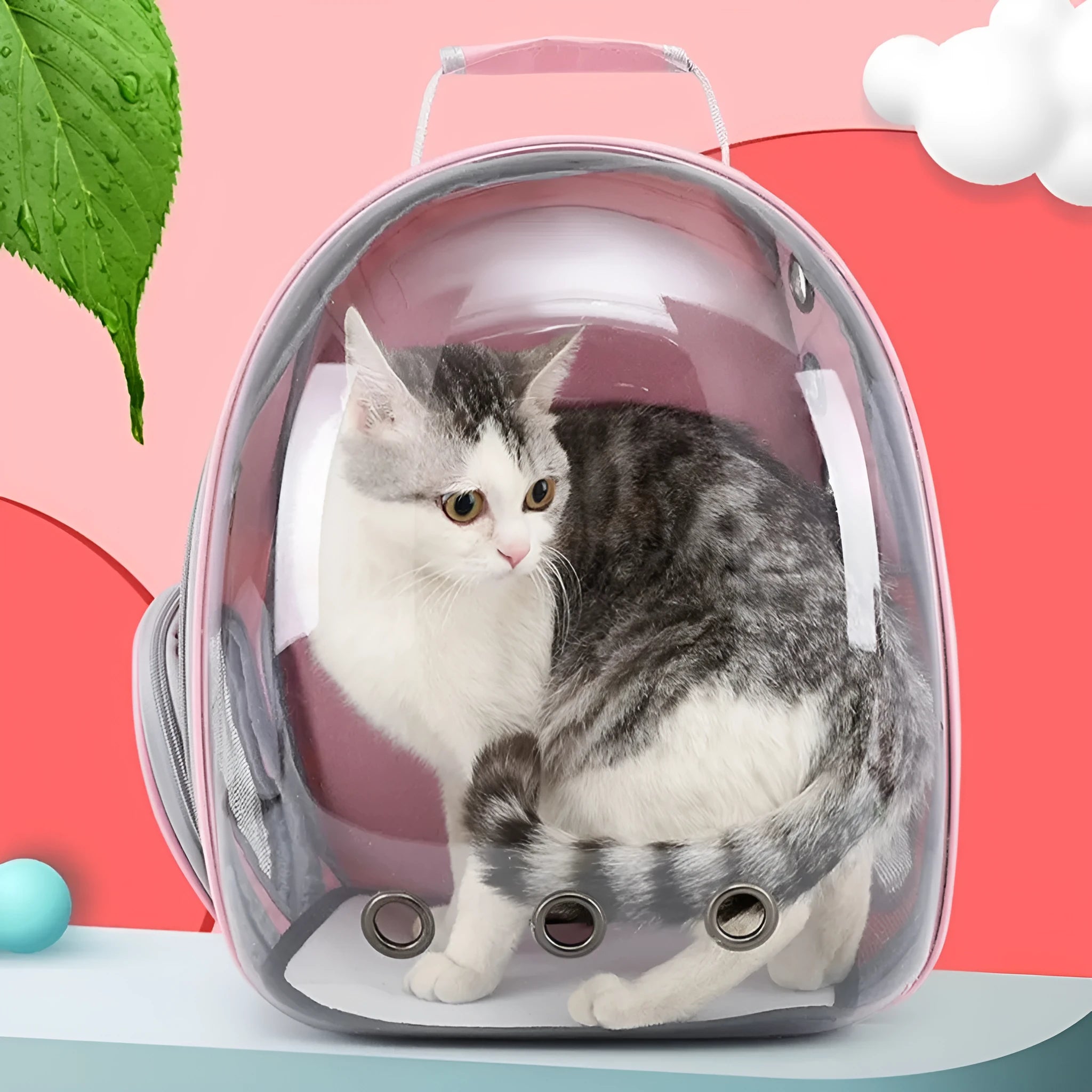 Medium hardness PC pet carrier bag with side open design in multiple colour options
