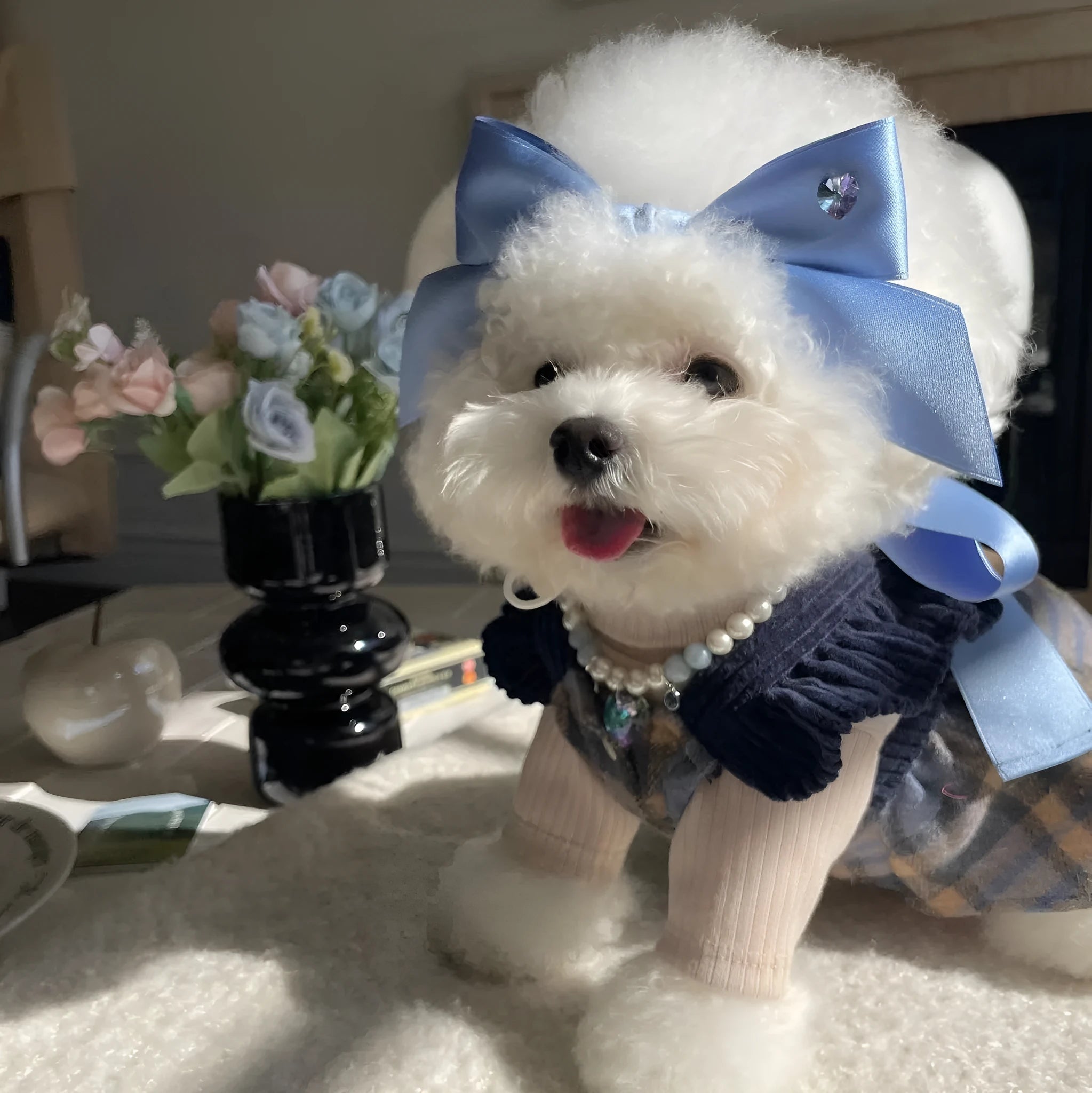 Adjustable dog hair band with princess style bow in blue and pink colours
