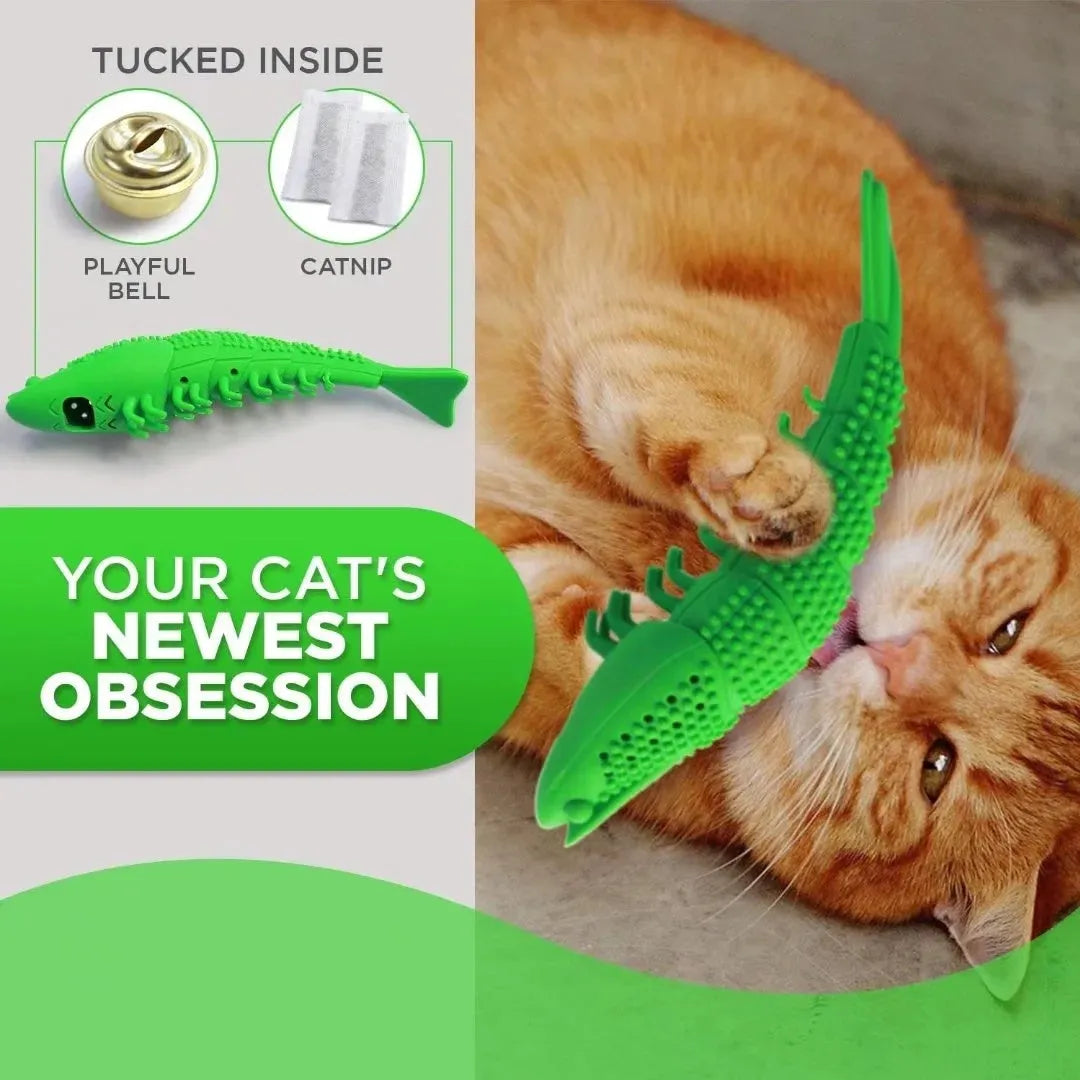 Blue hard rubber cat chew toy with textured surface for dental cleaning containing catnip and bell