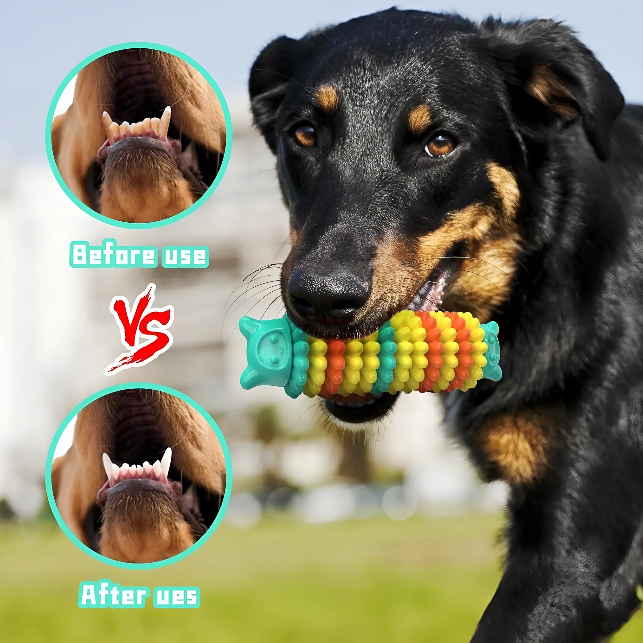 Blue caterpillar-shaped natural rubber dog chew toy for aggressive chewers