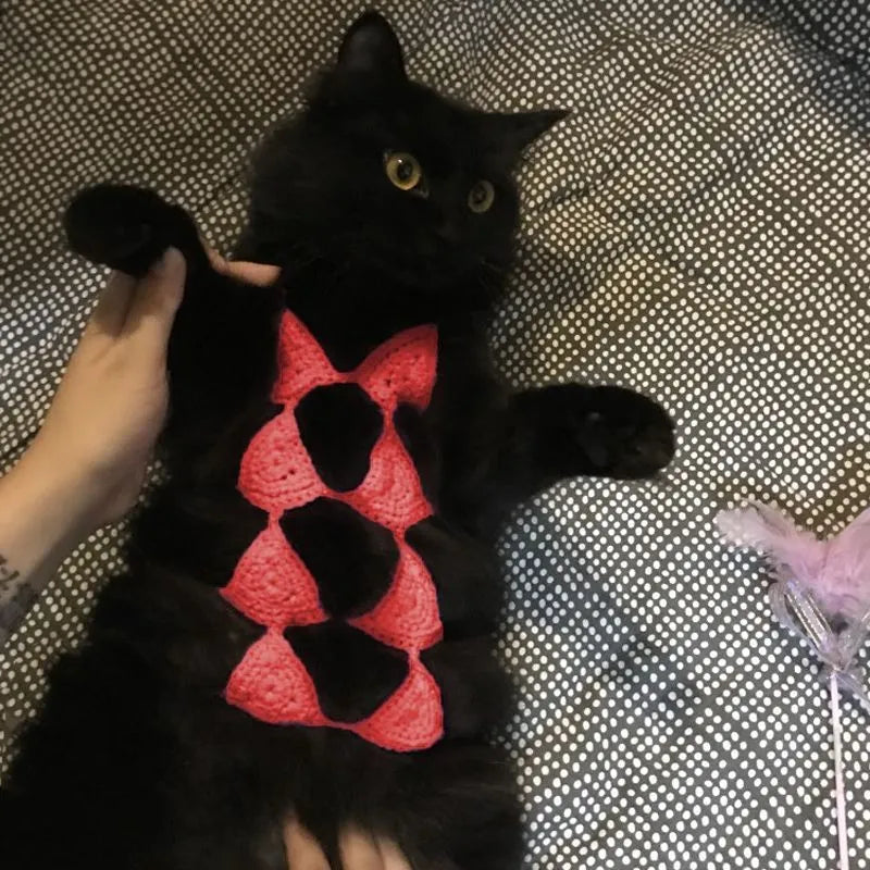Cat wearing sweet style bikini costume in choice of five colours for festivals and parties