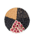 Black Wolfberry Tea mulberry and lycium barbarum herbal blend in tea bags with cup accessory
