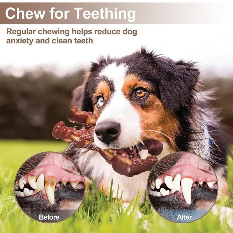 Scarlet nylon dog molar nibbling toy with beef flavour measuring 17.2cm for pet dental care